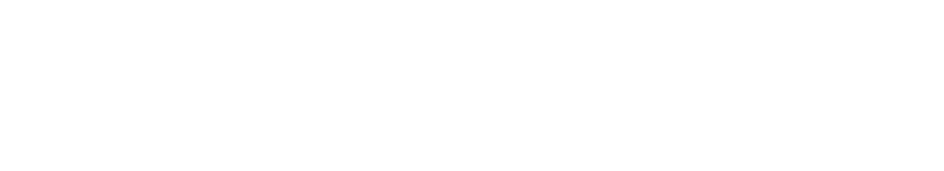 Porsche Consulting